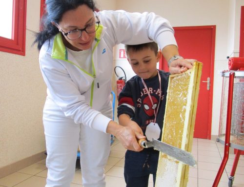 Intervention sur les abeilles